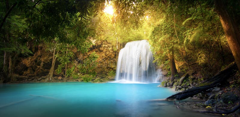 Fondo exótico del bosque hermoso de la selva con la cascada fotos de archivo libres de regalías Fondo exótico del bosque hermoso de la selva con la cascada fotos de archivo libres de regalías