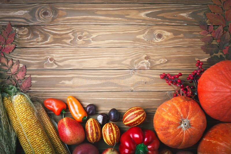 Fondo feliz del día de la acción de gracias, tabla adornada con las calabazas, maíz, frutas y hojas de otoño Festival de la cosec fotografía de archivo libre de regalías Fondo feliz del día de la acción de gracias, tabla adornada con las calabazas, maíz, frutas y hojas de otoño Festival de la cosec fotografía de archivo libre de regalías