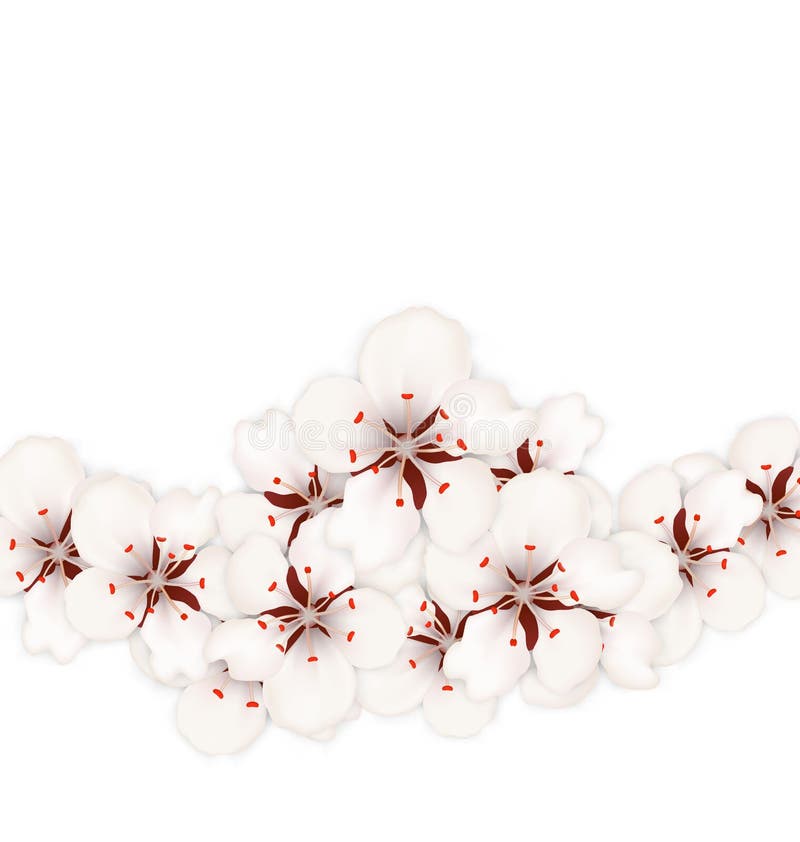 Fondo floral con Sakura o Cherry Flowers Blossom libre illustration Fondo floral con Sakura o Cherry Flowers Blossom libre illustration