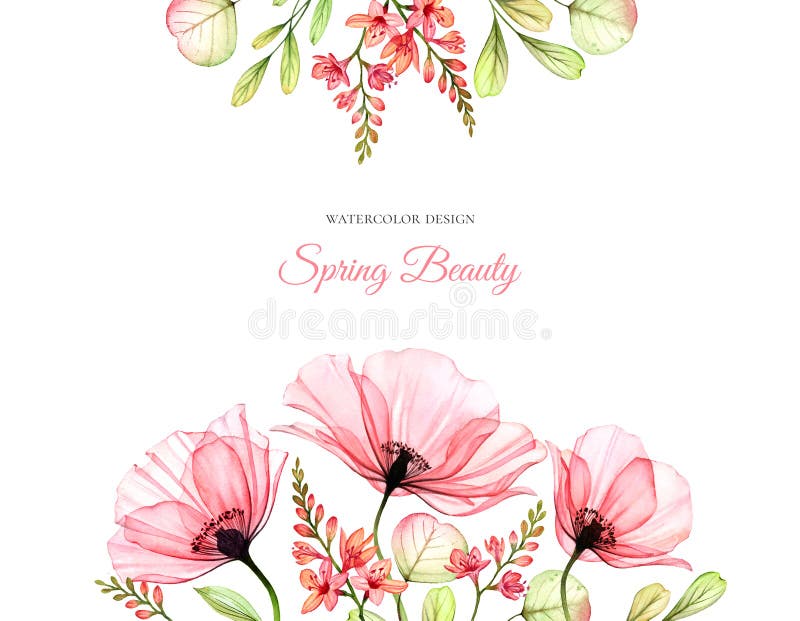 Fondo floral de color de agua con lugar para texto Borde en la parte superior e inferior Flores de campo de adormidera transparen ilustración del vector