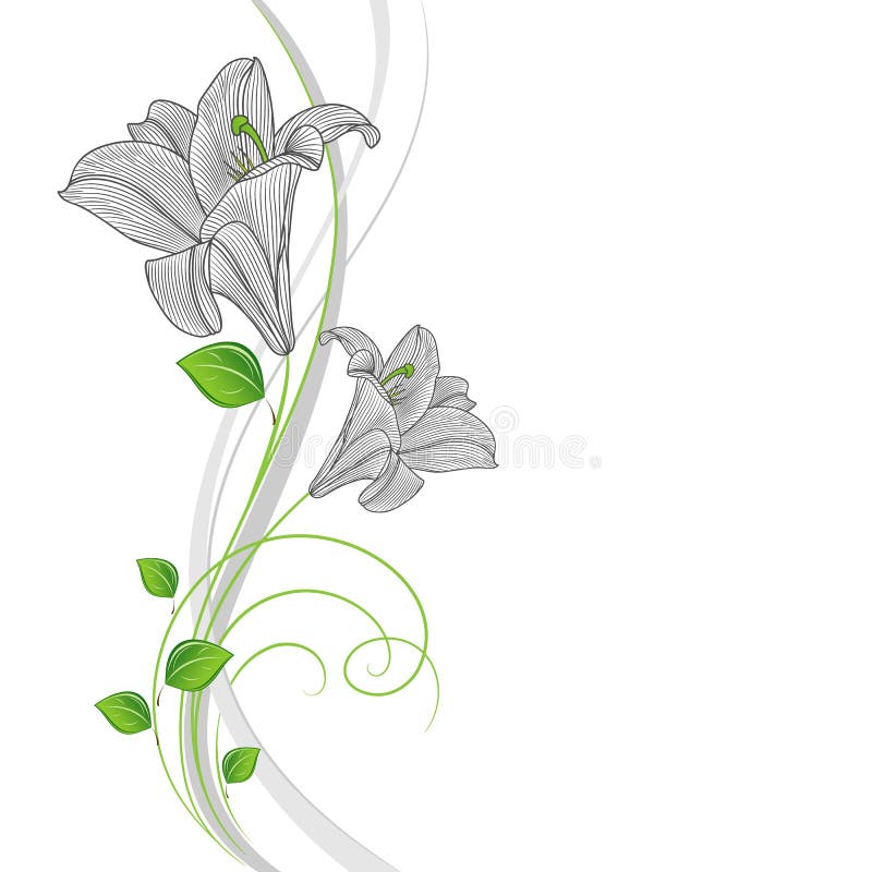 Fondo Floral Del Mano-dibujo Hermoso Con El Lirio De Las Hojas Y De Las  Flores Del Verde Ilustración del Vector - Ilustración de hojas, verano:  87606756