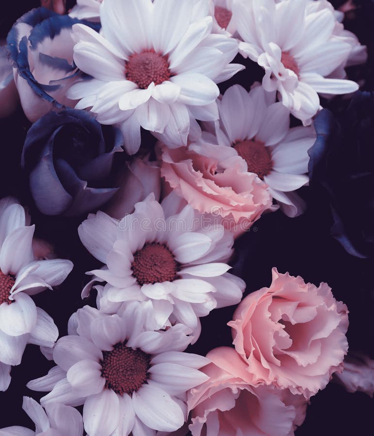 Top 48+ imagen flores para fondo de pantalla 