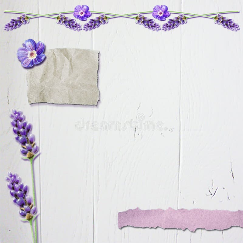 Fondo floreale dell'album per ritagli della lavanda con legno bianco #3 illustrazione vettoriale Fondo floreale dell'album per ritagli della lavanda con legno bianco #3 illustrazione vettoriale
