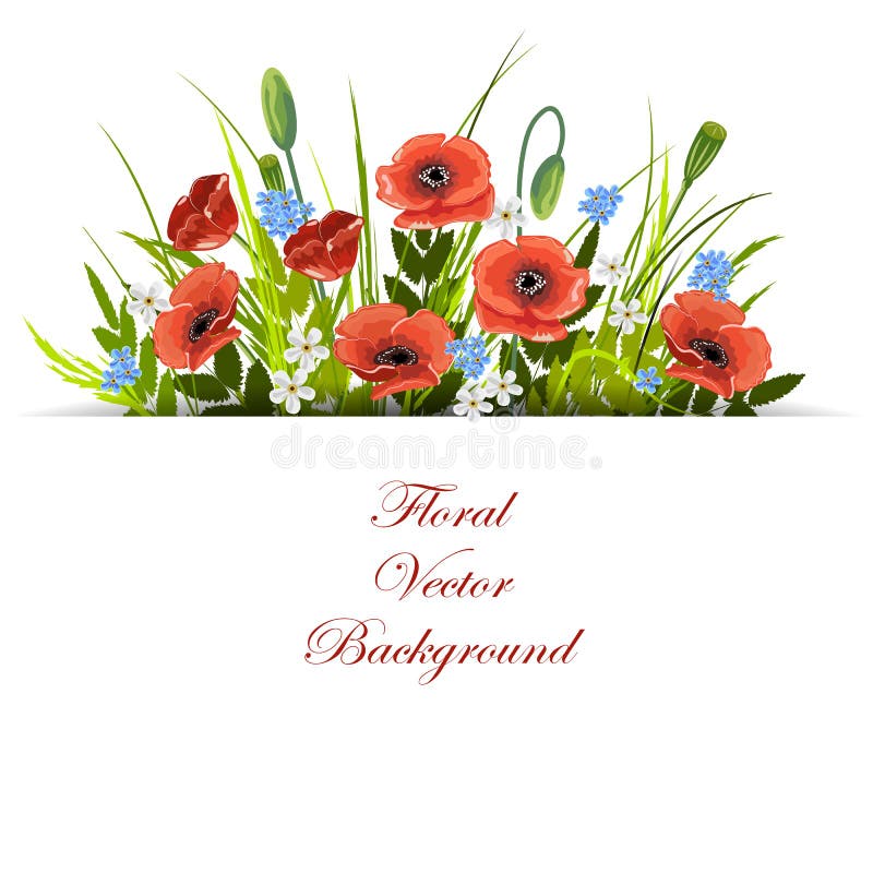 Fondo floreale di vettore illustrazione di stock Fondo floreale di vettore illustrazione di stock