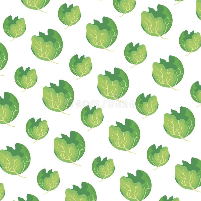 Fondo fresco del modello della lattuga illustrazione di stock Fondo fresco del modello della lattuga illustrazione di stock