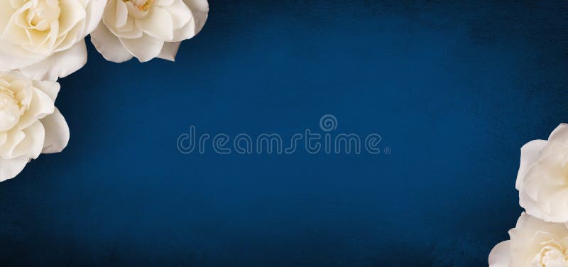 Fondo hermoso de la flor con el espacio de la copia para el texto imagen de archivo libre de regalías