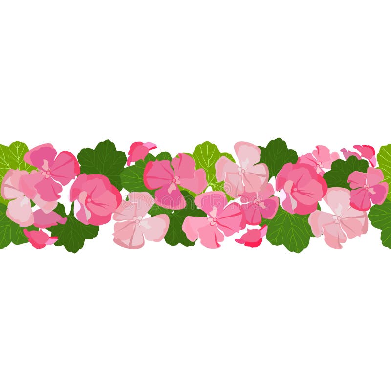Fondo Inconsútil Horizontal Con Las Flores Y Las Hojas Coloridas Del Geranio Ilustración del Vector - Ilustración de cubo, decorativo: 78876673 Fondo Inconsútil Horizontal Con Las Flores Y Las Hojas Coloridas Del Geranio Ilustración del Vector - Ilustración de cubo, decorativo: 78876673
