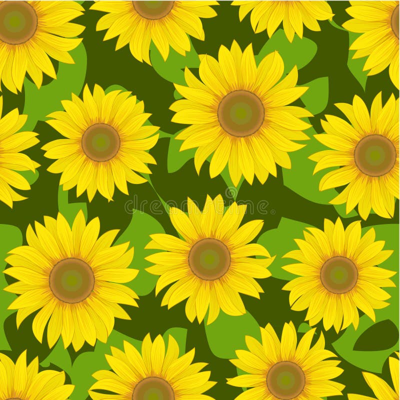 Fondo inconsútil de la flor del girasol ilustración del vector Fondo inconsútil de la flor del girasol ilustración del vector