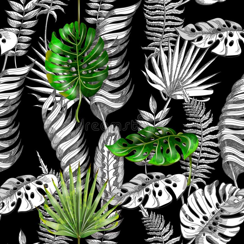 Fondo inconsútil del estampado de flores del vector con las hojas tropicales blancos y negros ilustración del vector Fondo inconsútil del estampado de flores del vector con las hojas tropicales blancos y negros ilustración del vector