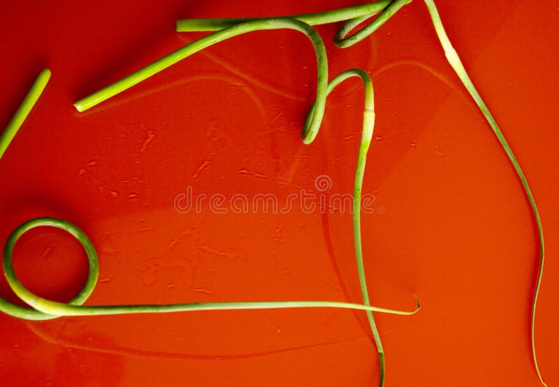 Fondo natural comida en una superficie anaranjada Flechas del ajo en la tabla Aderezo para la comida imágenes de archivo libres de regalías Fondo natural comida en una superficie anaranjada Flechas del ajo en la tabla Aderezo para la comida imágenes de archivo libres de regalías