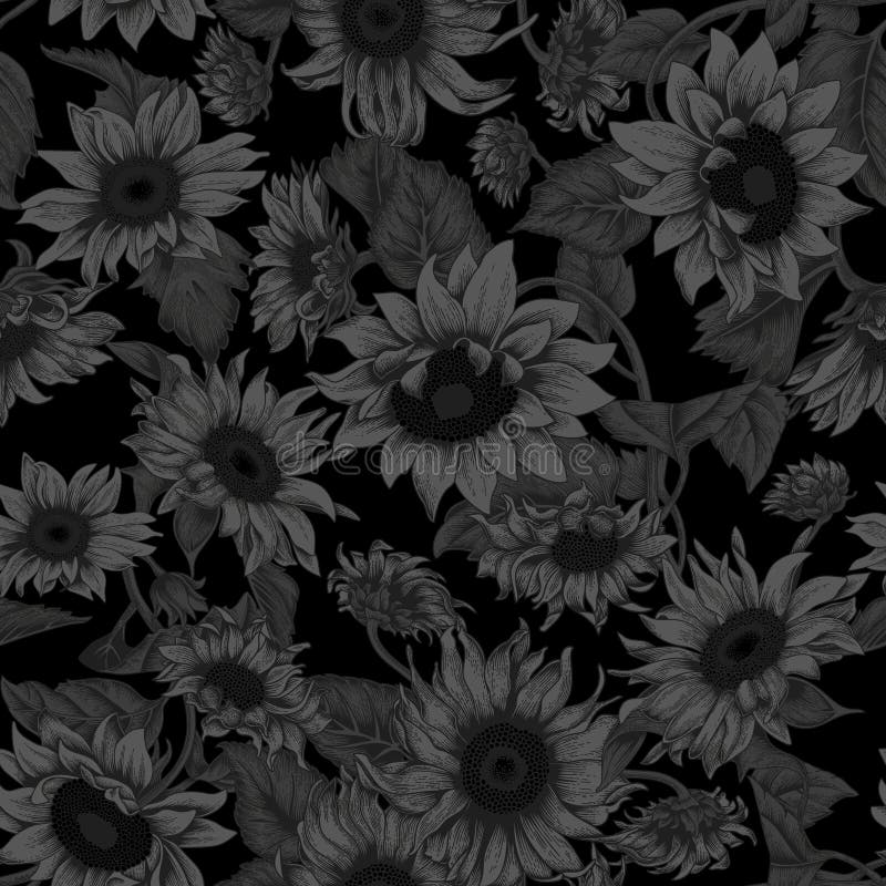 Fondo negro Girasoles Ejemplo del vector en estilo del vintage Fondo inconsútil libre illustration Fondo negro Girasoles Ejemplo del vector en estilo del vintage Fondo inconsútil libre illustration