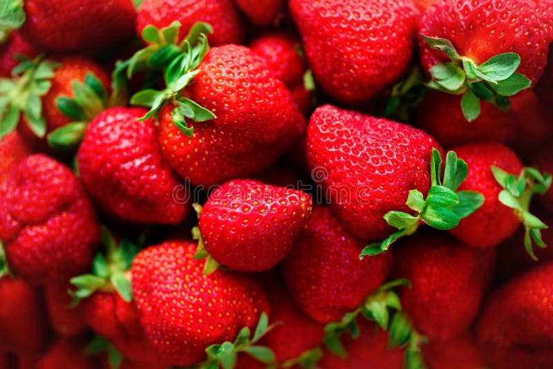 Fondo orgánico de las fresas con el espacio de la copia Visión superior Concepto del vegano y del vegetariano Textura de las baya imagen de archivo libre de regalías Fondo orgánico de las fresas con el espacio de la copia Visión superior Concepto del vegano y del vegetariano Textura de las baya imagen de archivo libre de regalías