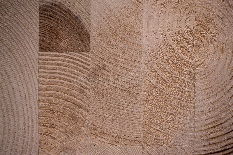 Fondo pegado de la textura del árbol de madera dura fotos de archivo Fondo pegado de la textura del árbol de madera dura fotos de archivo