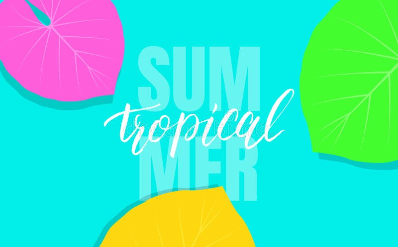 Fondo tropical con las hojas exóticas coloridas para la venta, promoción, descuento, web libre illustration Fondo tropical con las hojas exóticas coloridas para la venta, promoción, descuento, web libre illustration