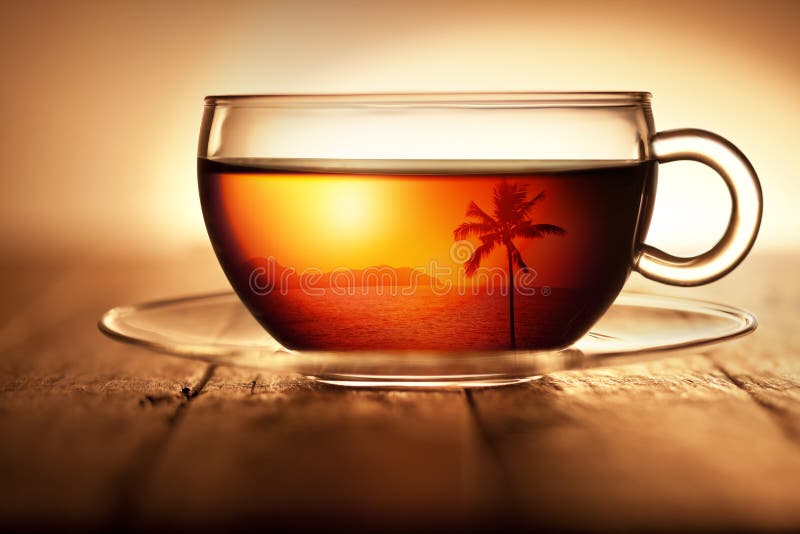 Fondo tropical del té del viaje imágenes de archivo libres de regalías Fondo tropical del té del viaje imágenes de archivo libres de regalías