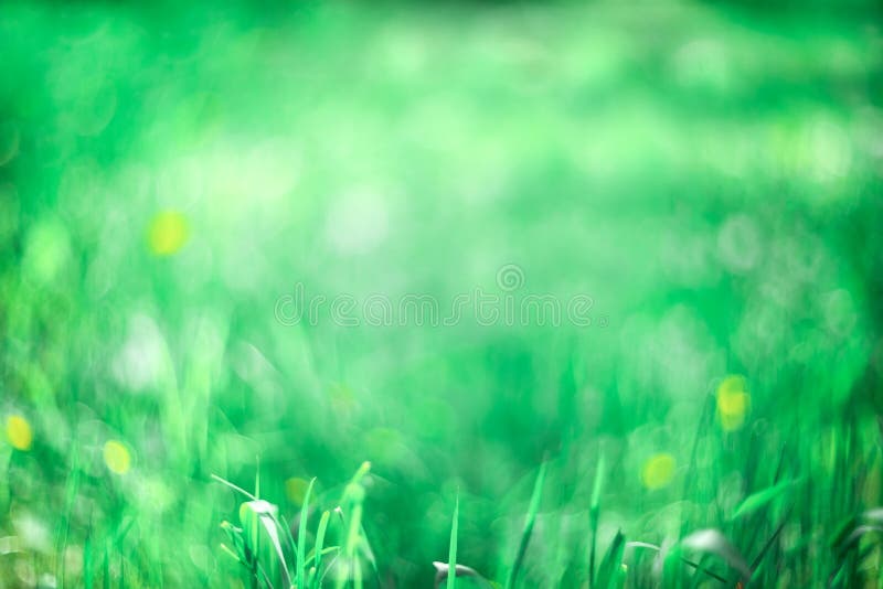 Fondo verde borroso. fondo abstracto. fondo de césped imagenes de archivo