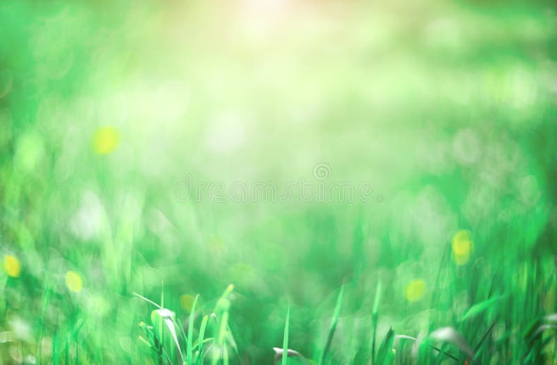 Fondo verde borroso. fondo abstracto. fondo de césped fotos de archivo libres de regalías