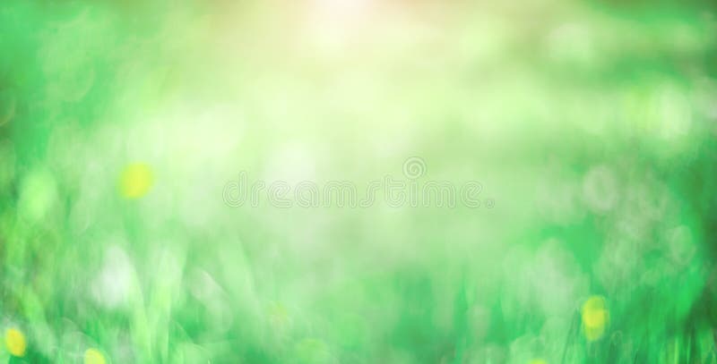 Fondo verde borroso. fondo abstracto. fondo de césped fotografía de archivo