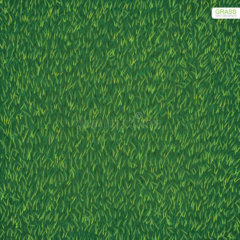 Fondo verde de la textura y del modelo de la hierba del césped de la naturaleza Vector. Textura y modelo verdes de la hierba del césped de la naturaleza para el fondo Ilustración del vector