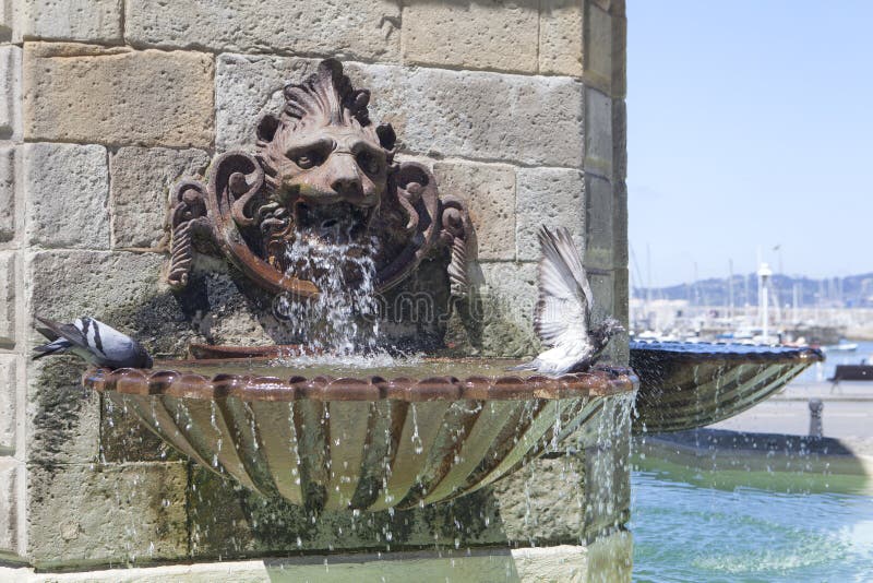 Fontaine et pigeons de lion région à Gijon, Asturies images stock Fontaine et pigeons de lion région à Gijon, Asturies images stock