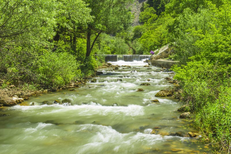 Fonte principale di acqua naturale dalle montagne fotografie stock libere da diritti Fonte principale di acqua naturale dalle montagne fotografie stock libere da diritti