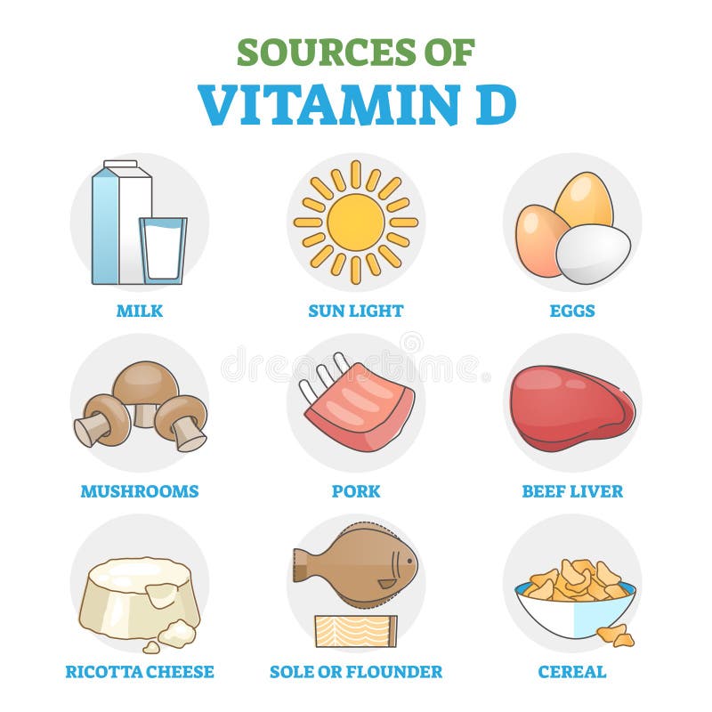 Fontes de vitamina d nos alimentos como método de ingestão natural saudável diagrama esquemático