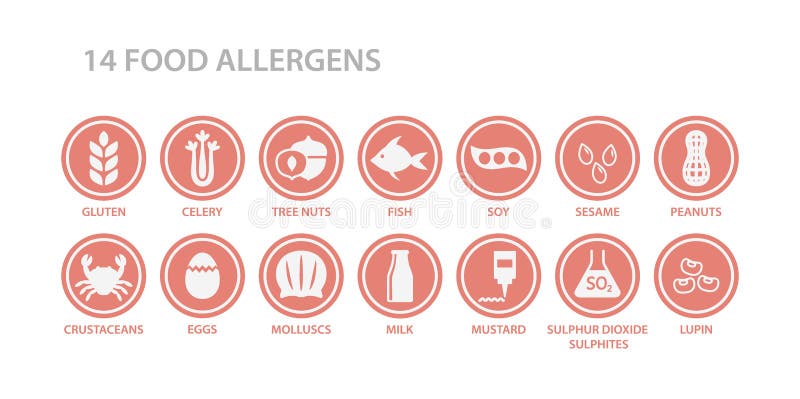 14 food allergens menu list circle icon set. Food allergen white icons in pink circles.