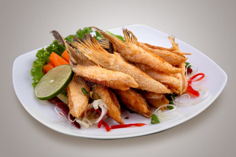 Deep fried salmon wing stock image. Image of skin, spices 209817721