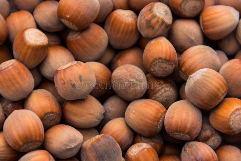 Food background of hazelnuts. Fresh filbert close-up royalty free stock photos
