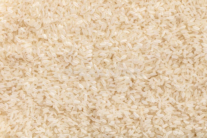 Texture Basmati Rice Steamed Closeup Stock Photo Image of eating