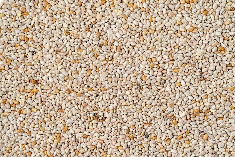 Food Background. White Chia Seed Texture, Directly Above Stock Photo ...