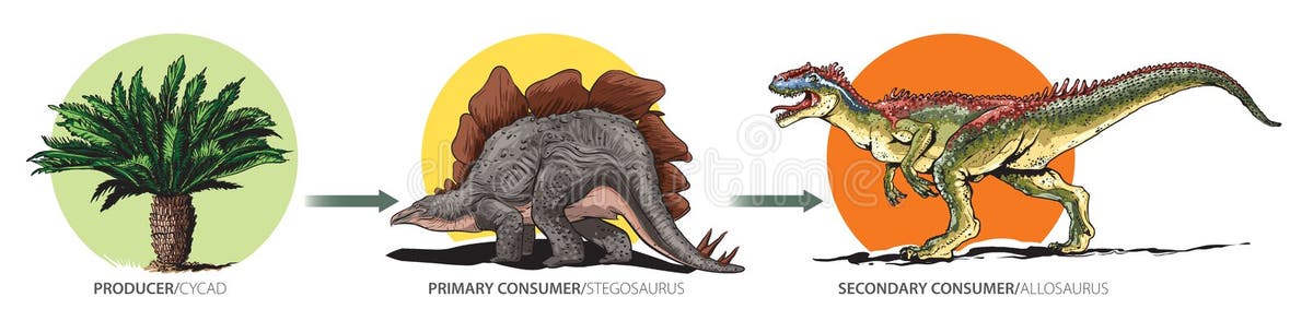 Dinosaur Vertebra Stock Illustrations – 20 Dinosaur Vertebra Stock ... Biology Diagrams