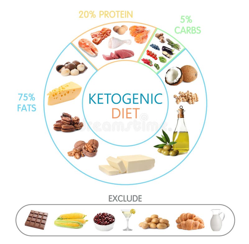 Food Pie Chart On White Background Top View Healthy Balanced Diet Stock Image Image Of Flat food-pie-chart-on-white-background-top-view-healthy-balanced-diet-stock-image-image-of-flat