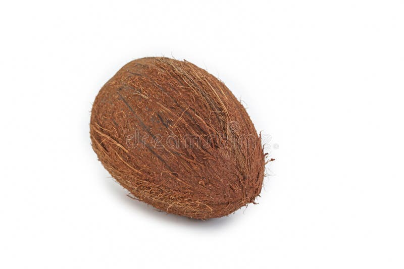 Food Concepts. One Separate Coconut Placed Isolated Over Pure White royalty free stock image
