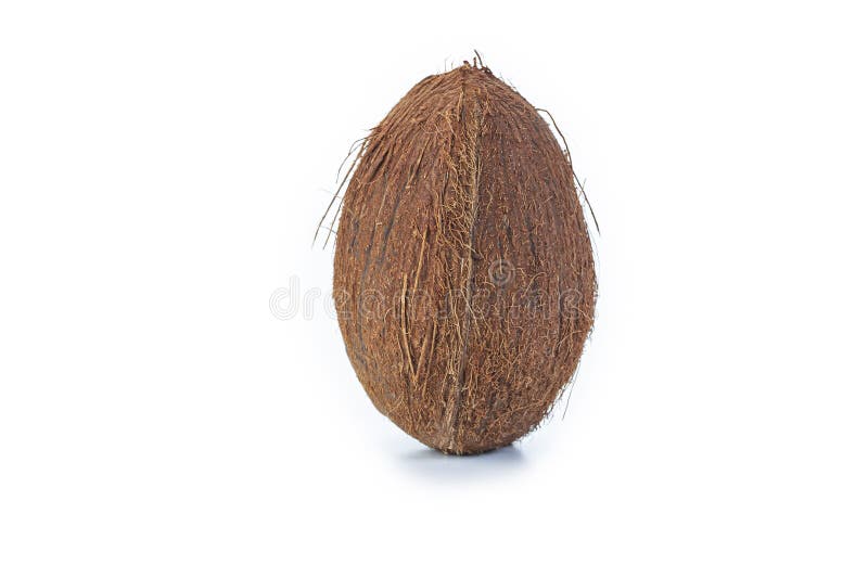 Food Concepts. One Separate Coconut Placed Isolated Over Pure White Background royalty free stock photos