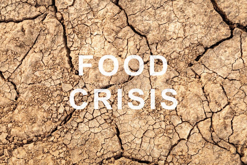 Food crisis. Failed grain crops. Bread shortage. World hunger. Drought and bad harvest. The global threat of hunger around the
