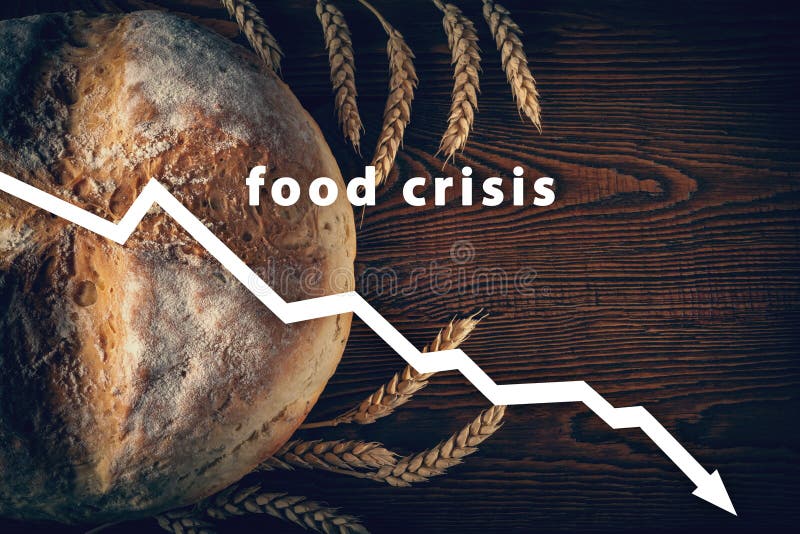 Food crisis. Failed grain harvest. Bread shortage. Russia`s aggressive war in Ukraine. The global threat of famine to the whole