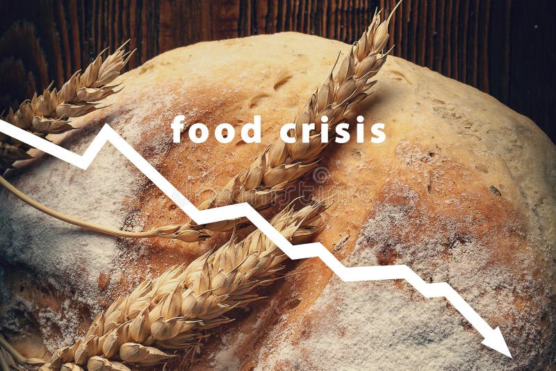 Food crisis. Failed grain harvest. Bread shortage. Russia`s aggressive war in Ukraine. Stolen crop. The global threat of hunger i