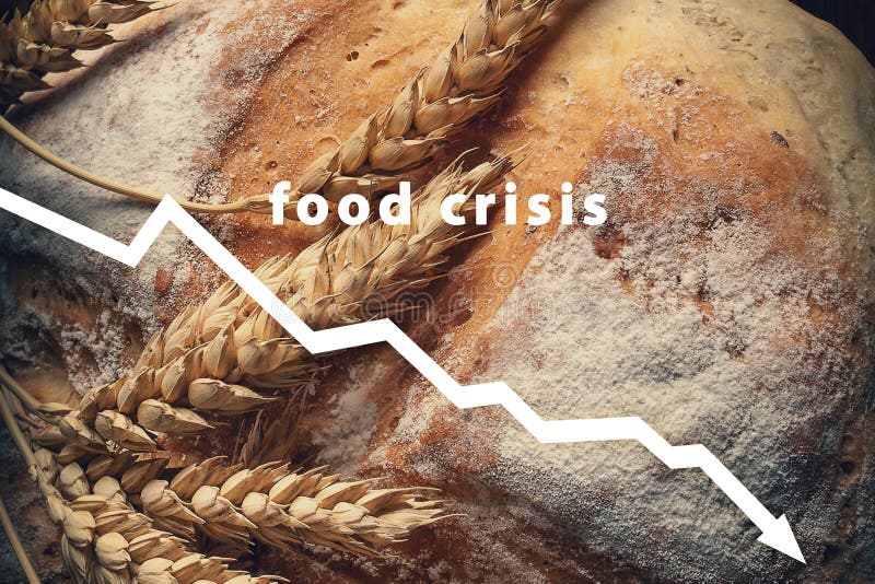 Food crisis. Failed grain harvest. Bread shortage. Russia`s aggressive war in Ukraine. The stolen harvest. Global threat of famin