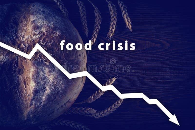 Food crisis. Failed grain harvest. The shortage of bread. Aggressive war of Russia in Ukraine. The global threat of hunger around