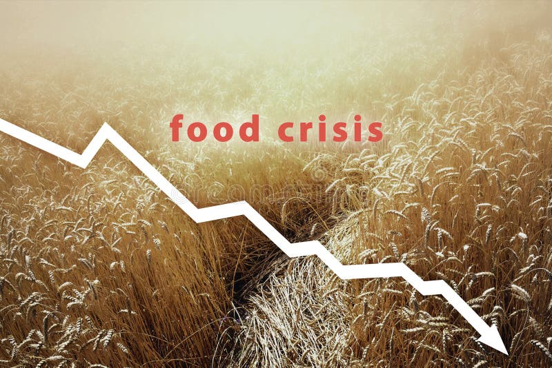 Food crisis. Failed grain harvest. The shortage of bread. Russia`s aggressive attack on Ukraine. The global threat of hunger