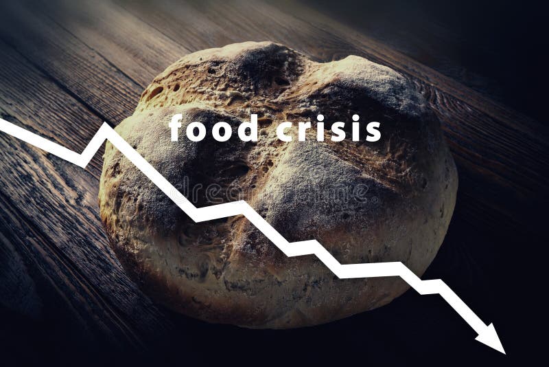 Food crisis. Failed grain harvest. The shortage of bread. Russia`s aggressive war in Ukraine. The global threat of hunger around