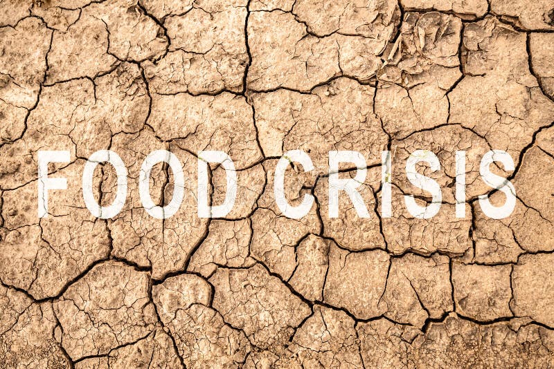 Food crisis. World hunger. Failed grain crops. Bread shortage. Drought and bad harvest. The global threat of hunger around the
