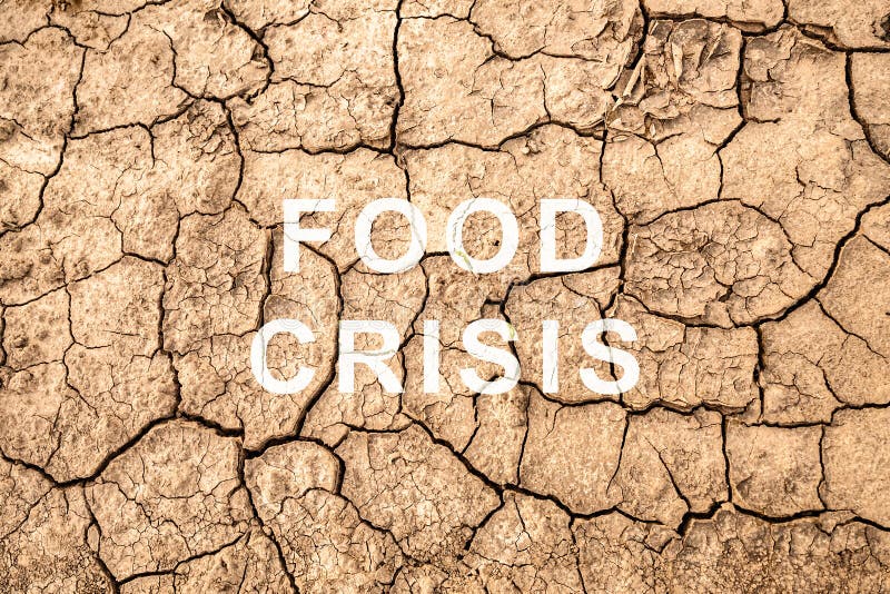 Food crisis. World hunger. Failed grain crops. Bread shortage. Drought and bad harvest. The global threat of famine to the whole