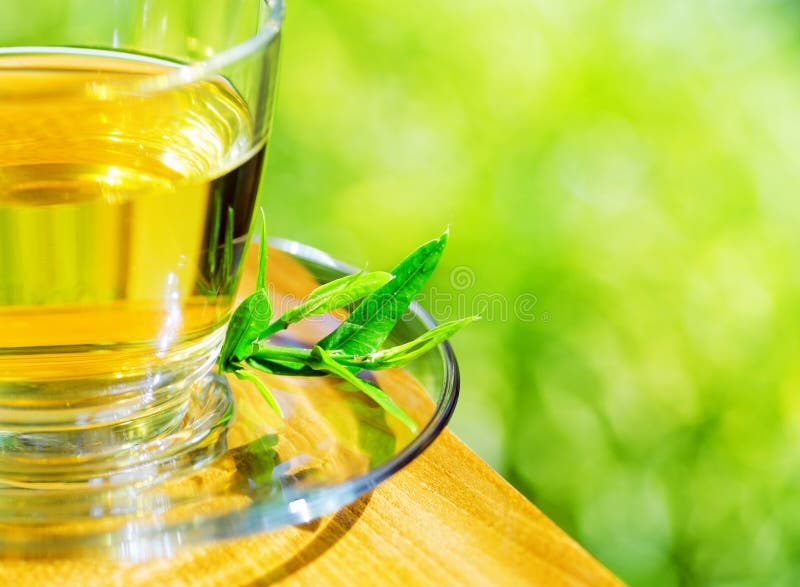 Cup of Tea on Nature Background Stock Photo Image of refreshment