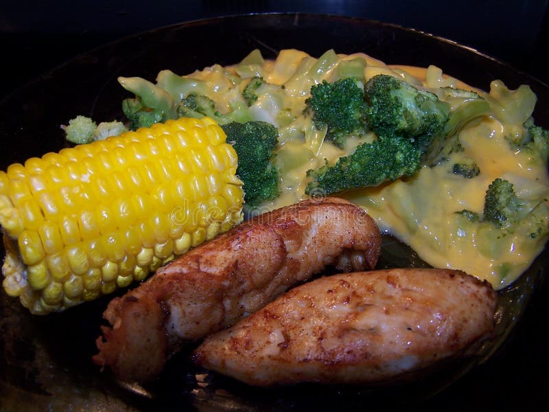 Food Dinner Plate stock photo. Image of broccoli, lunch 255114