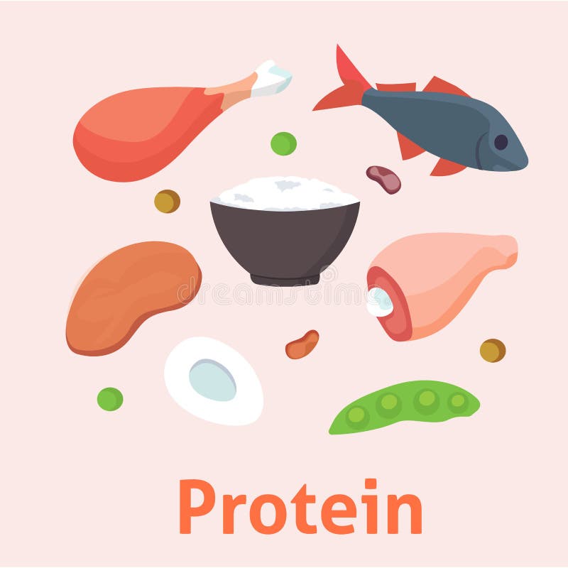Protein Food Group Vector Illustration Stock Vector - Illustration of ...