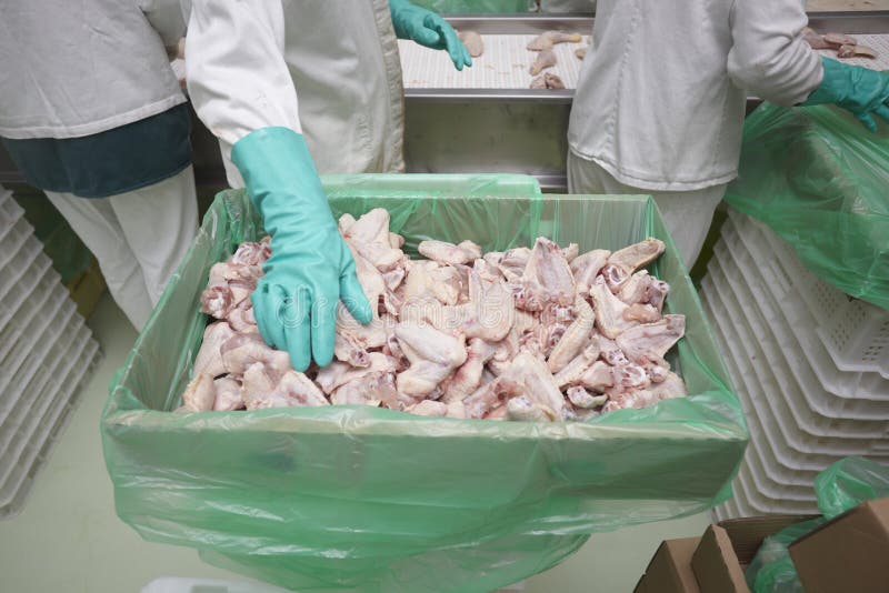 Food industry stock photos