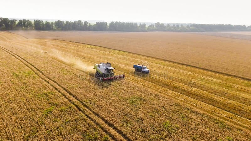 Food industry concept. Aerial view Combine Harvester gathers the wheat. Harvesting grain field, crop season. natural landscape royalty free stock images Food industry concept. Aerial view Combine Harvester gathers the wheat. Harvesting grain field, crop season. natural landscape royalty free stock images
