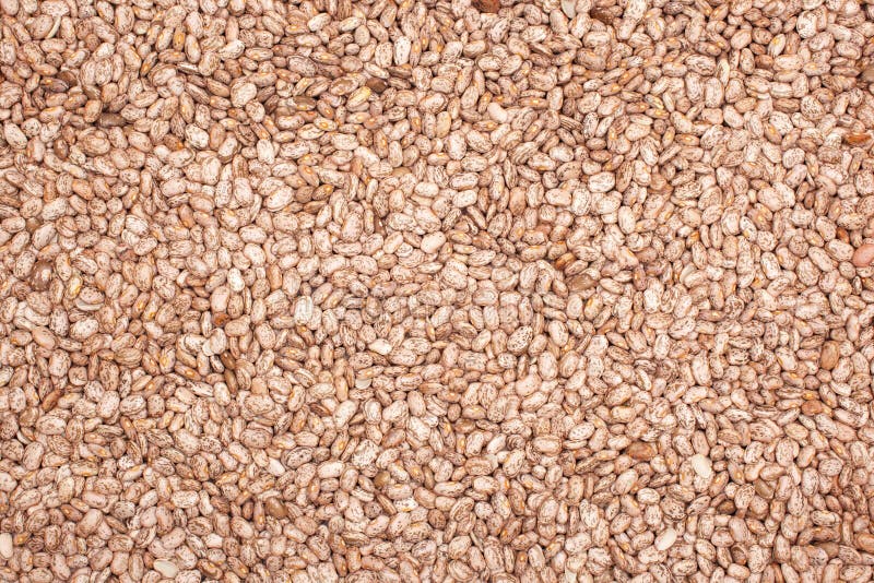Grocery - Dried pinto beans background. Grocery - Dried pinto beans background